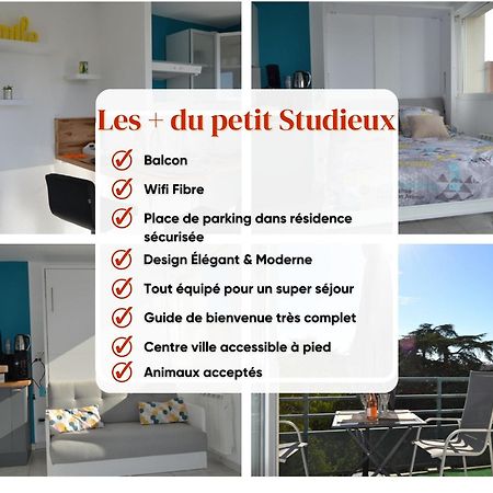 Le Petit Studieux - Parking - Animaux Acceptes - Centre Ville Accessible A Pied Αλμπί Εξωτερικό φωτογραφία