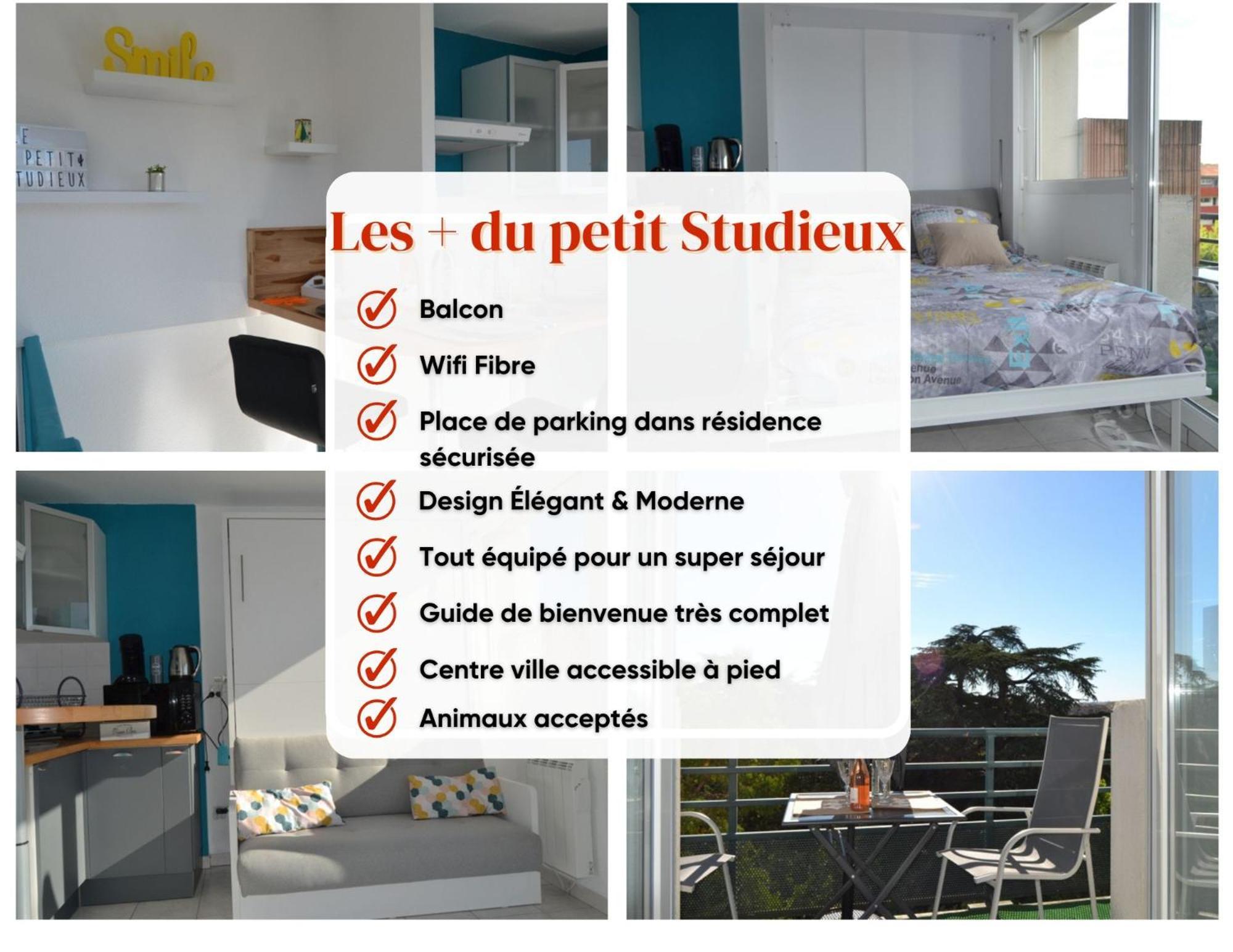 Le Petit Studieux - Parking - Animaux Acceptes - Centre Ville Accessible A Pied Αλμπί Εξωτερικό φωτογραφία
