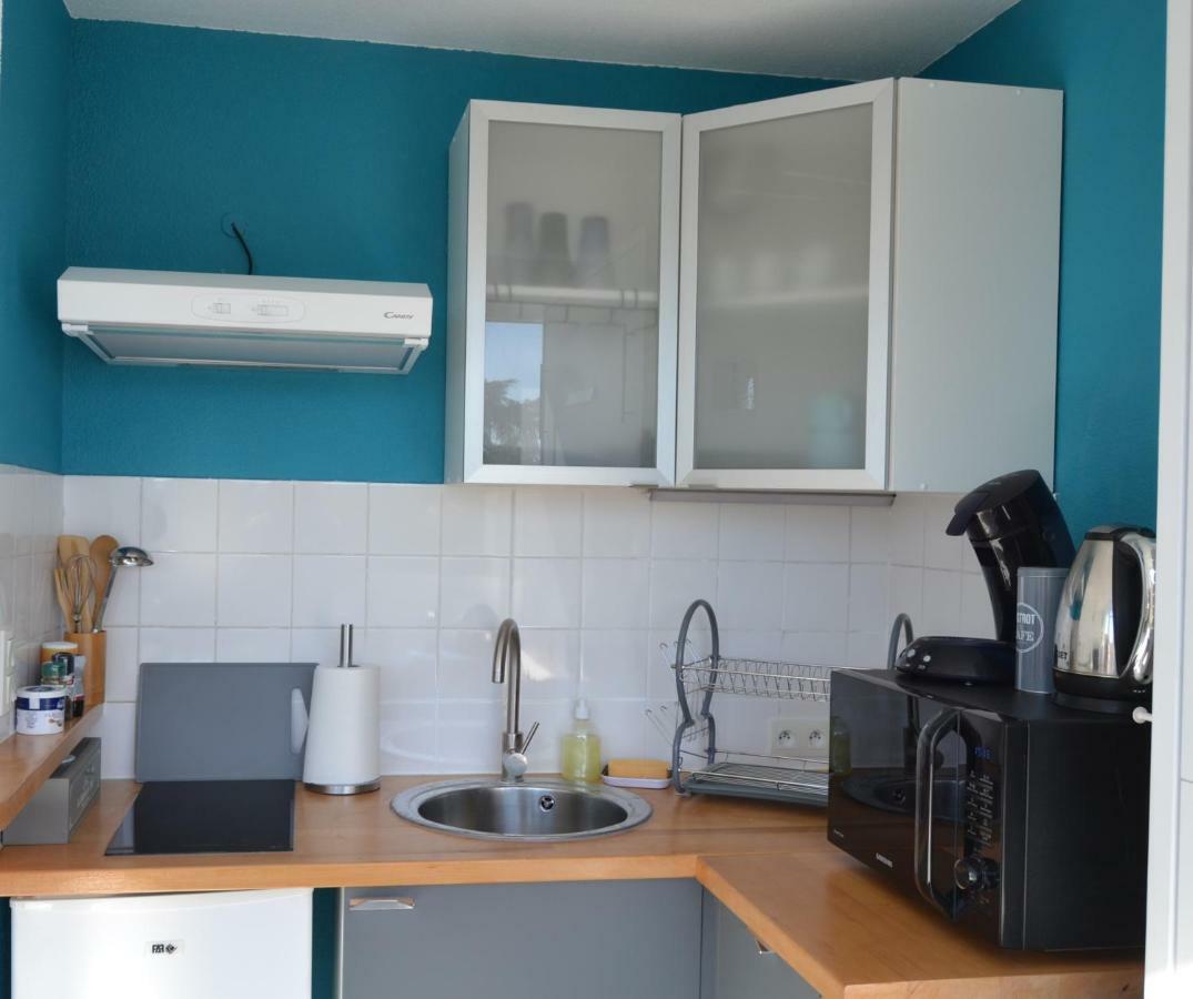 Le Petit Studieux - Parking - Animaux Acceptes - Centre Ville Accessible A Pied Αλμπί Εξωτερικό φωτογραφία