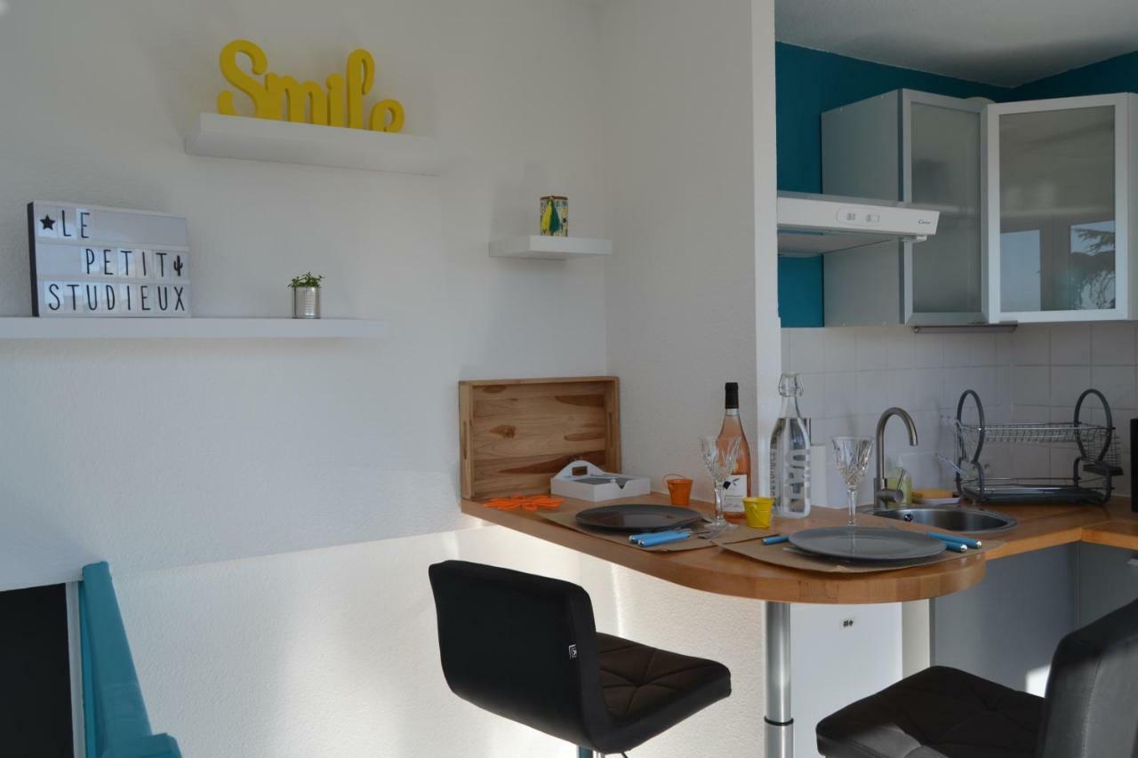Le Petit Studieux - Parking - Animaux Acceptes - Centre Ville Accessible A Pied Αλμπί Εξωτερικό φωτογραφία