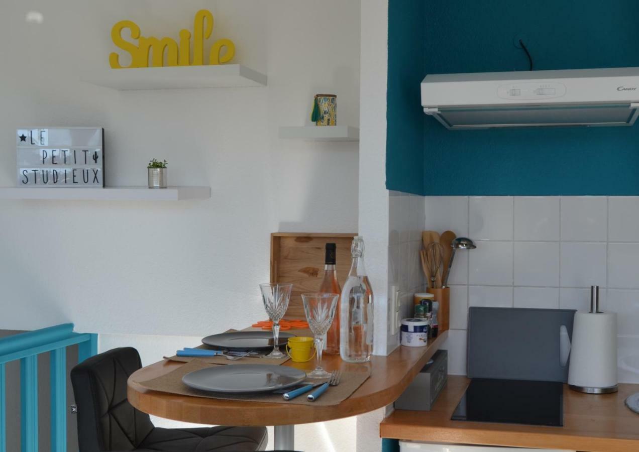 Le Petit Studieux - Parking - Animaux Acceptes - Centre Ville Accessible A Pied Αλμπί Εξωτερικό φωτογραφία