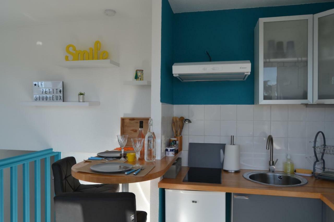 Le Petit Studieux - Parking - Animaux Acceptes - Centre Ville Accessible A Pied Αλμπί Εξωτερικό φωτογραφία