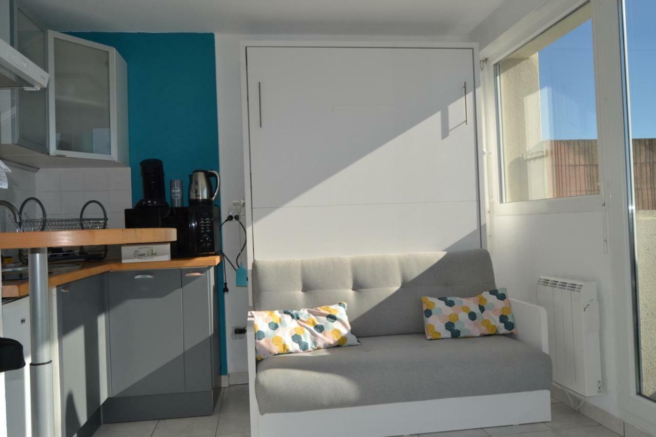 Le Petit Studieux - Parking - Animaux Acceptes - Centre Ville Accessible A Pied Αλμπί Εξωτερικό φωτογραφία