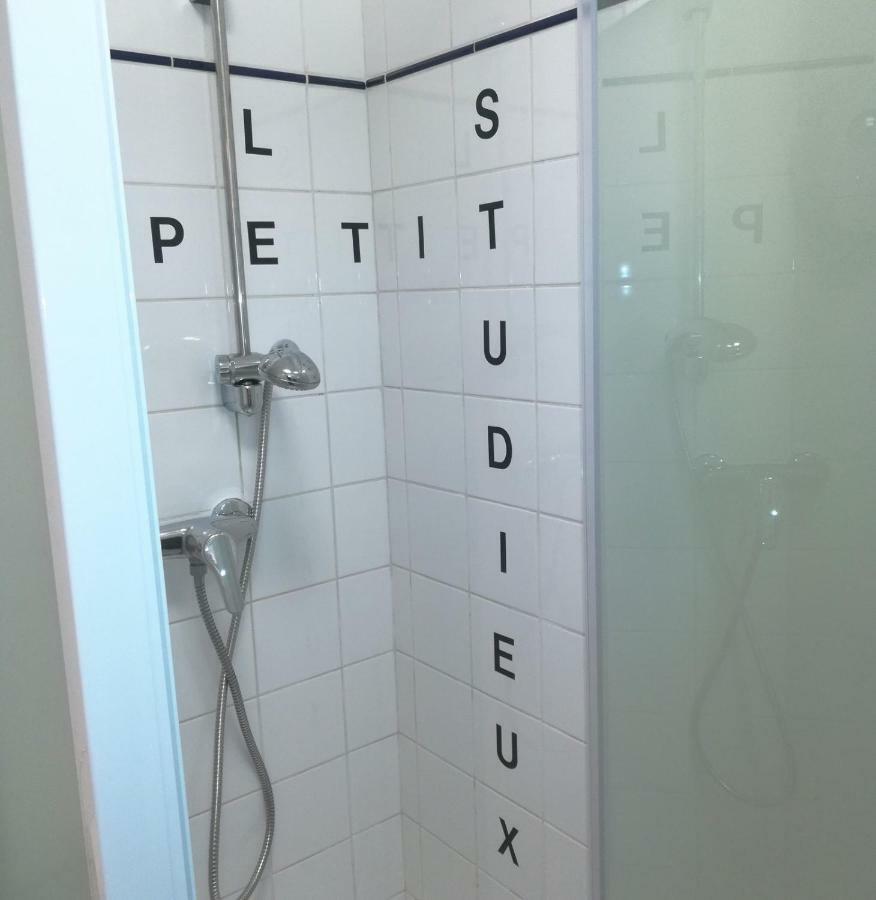 Le Petit Studieux - Parking - Animaux Acceptes - Centre Ville Accessible A Pied Αλμπί Εξωτερικό φωτογραφία