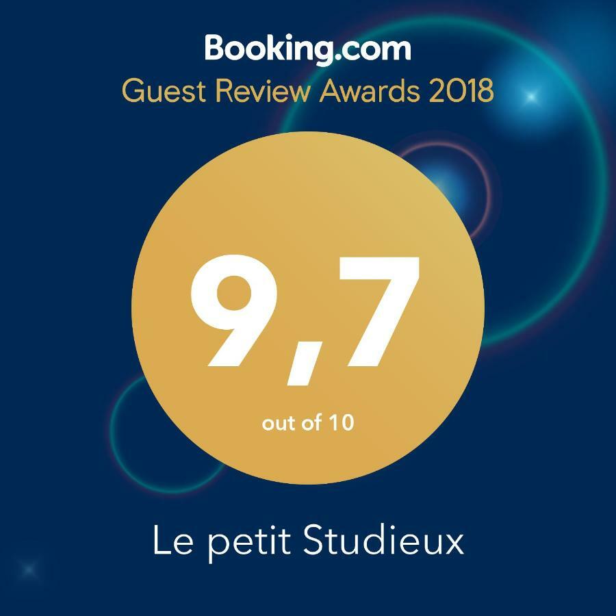 Le Petit Studieux - Parking - Animaux Acceptes - Centre Ville Accessible A Pied Αλμπί Εξωτερικό φωτογραφία