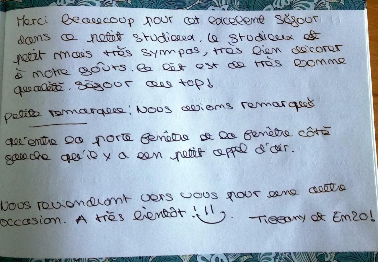 Le Petit Studieux - Parking - Animaux Acceptes - Centre Ville Accessible A Pied Αλμπί Εξωτερικό φωτογραφία